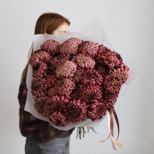 Chocolate Chrysanthemum -  29 хризантем 