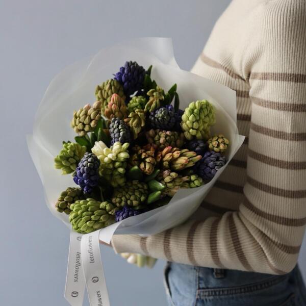 Mixed color hyacinthus - 25 гиацинтов