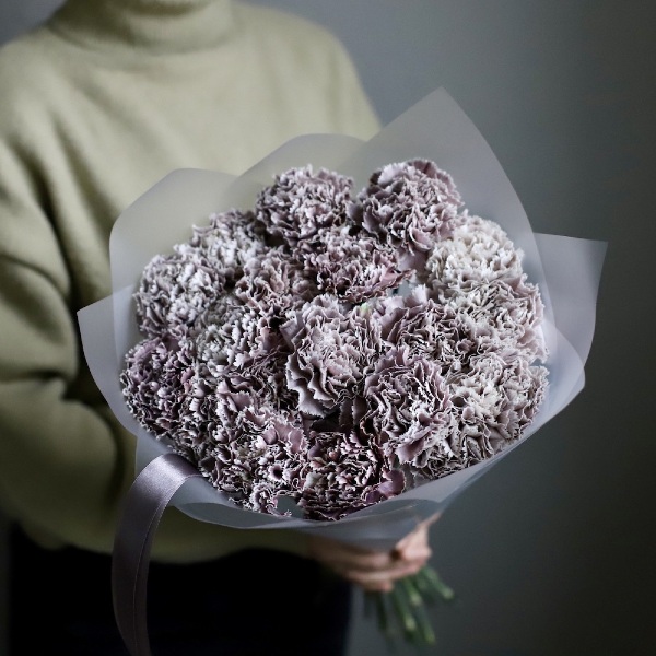 Black Molly Carnations - 19 гвоздик 