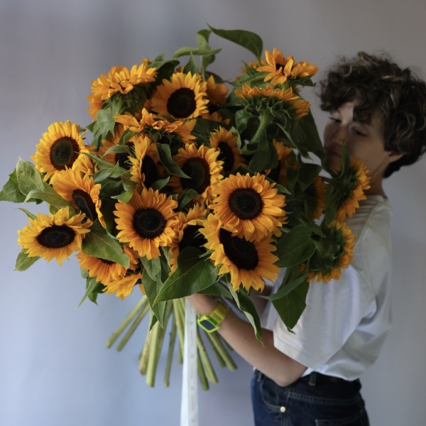Sunflower - 39 подсолнухов