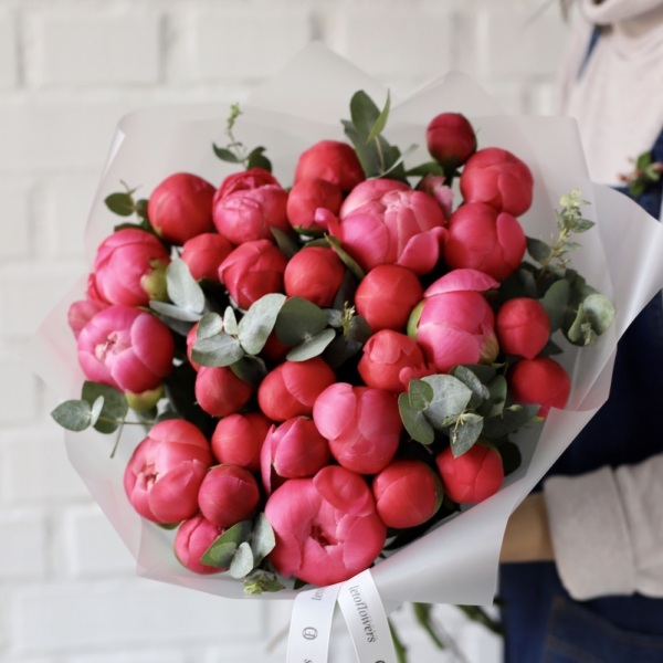 Coral Peony - 31 пион