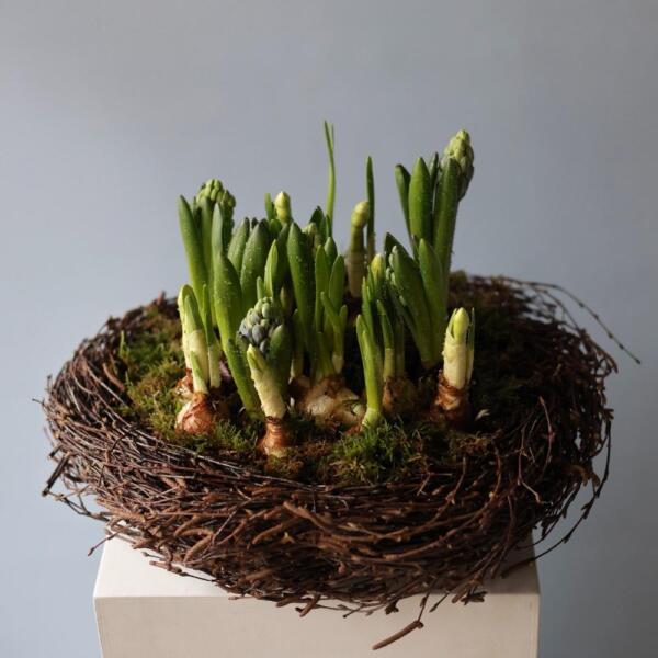 Easter Nest with Primroses
