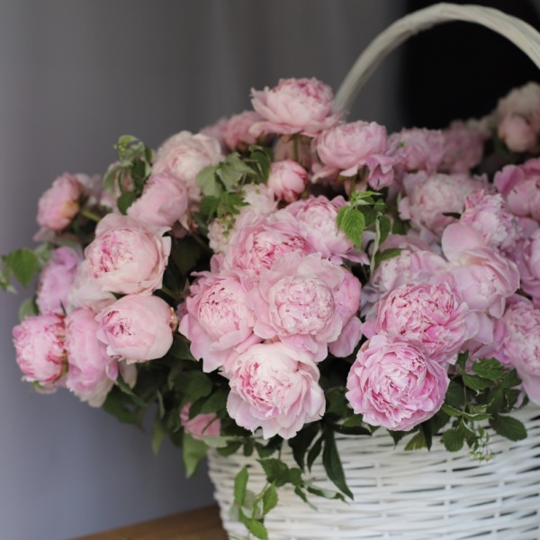 Pink Peonies in a basket