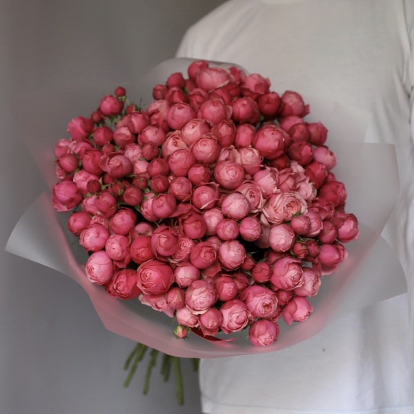 Silva Pink spray rose - 29 кустовых роз