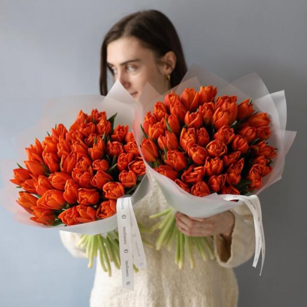 Red Tulips - 49 тюльпанов