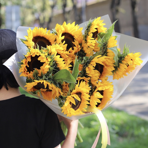 Sunflower - 19 подсолнухов 