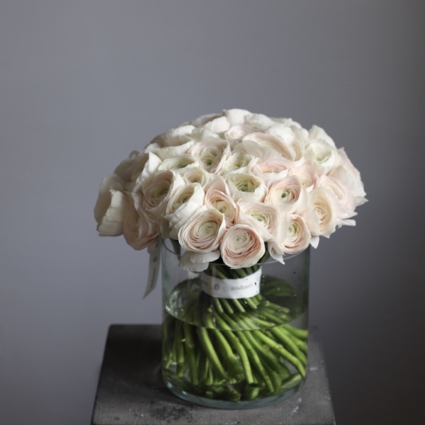 Ranunculus in a vase -  59 ранункулюсов 