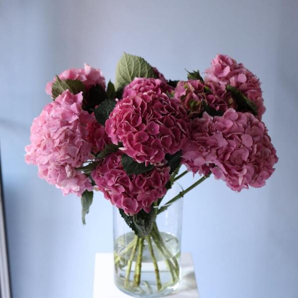 Flower subscribtion "Mono in a vase" (4 deliveries) - Размер 2XL