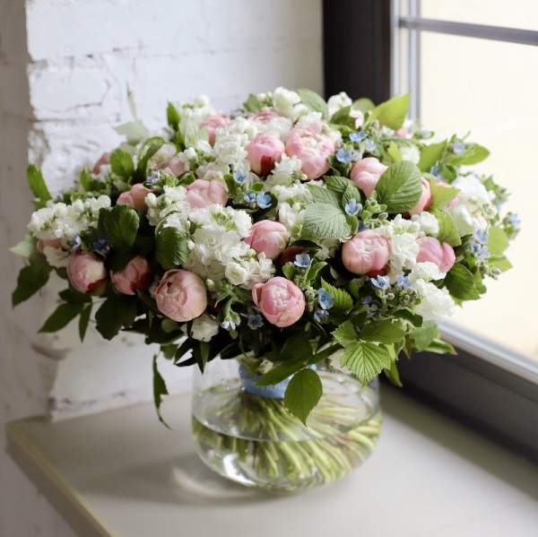 Peonies with Stock and Oxypetalum in a vase -  Размер XL 