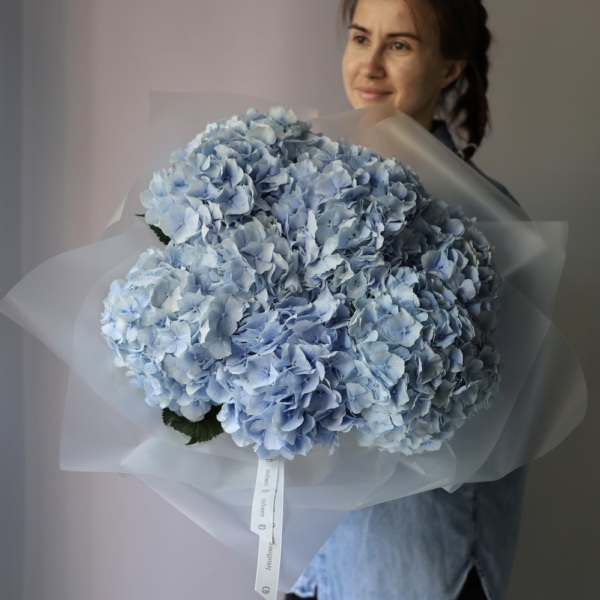 Skyblue Hydrangea - 9 гортензий