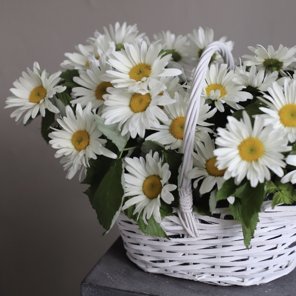 Basket of Chamomile - Размер M