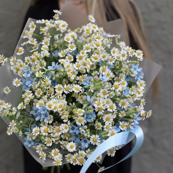 Chamomile with Oxypetalum - Размер S