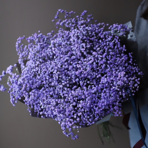 Lilac Baby's Breath -  15 гипсофил