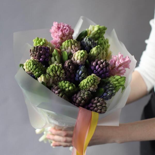 Mixed color hyacinthus - 25 гиацинтов