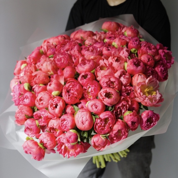 Coral Peony - 101 корал