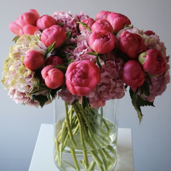 Hydrangea with Peony in a vase
