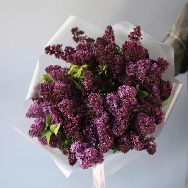 Local Lilac - Размер M