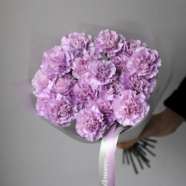 Lilac Carnations - 19 гвоздик 