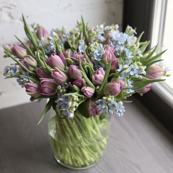 Tulips with Oxypetalum in a vase - Размер M