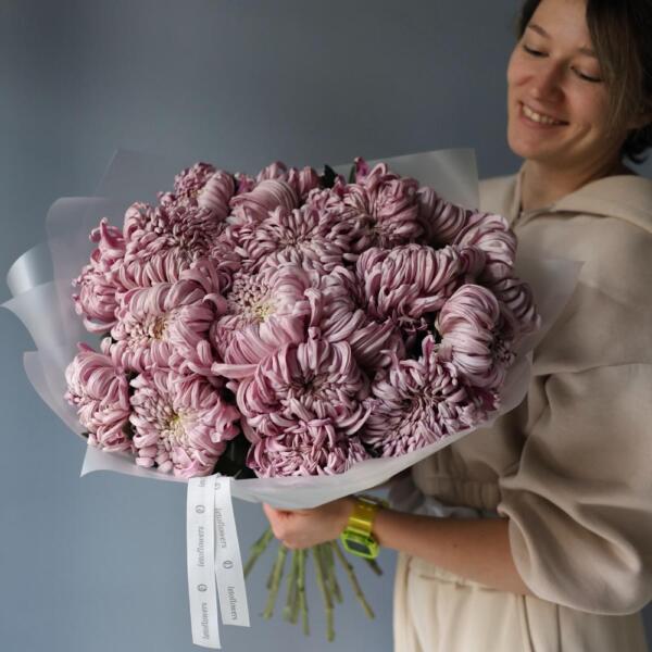 Curly lilac Chrysanthemum - 19 хризантем
