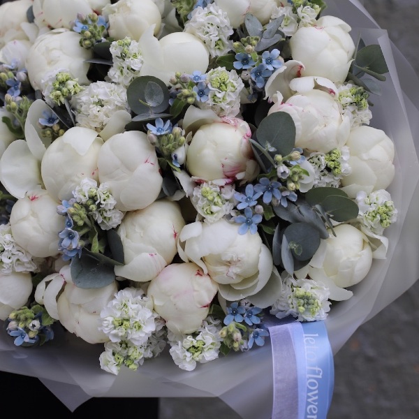 Peonies with Stock and Oxypetalum -  Размер L 