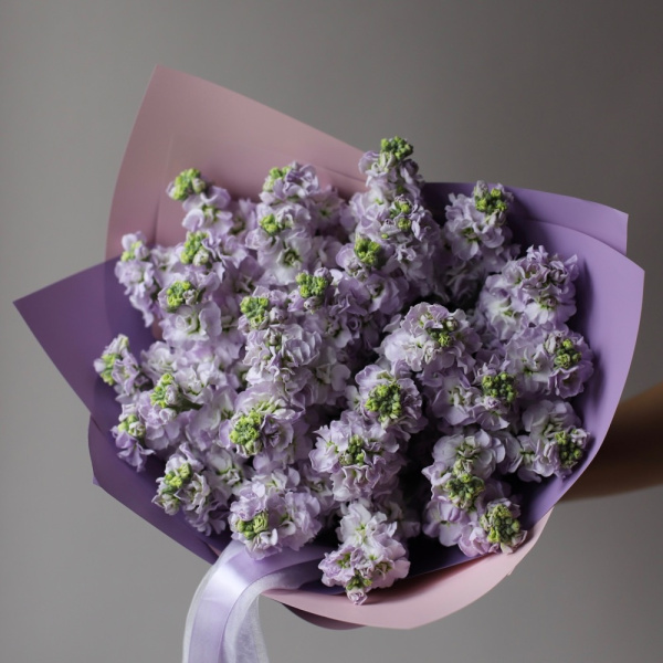 “Lilac Stock”
