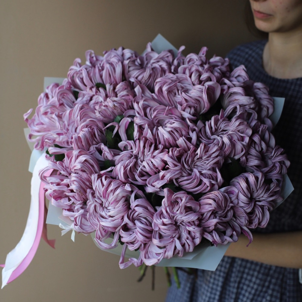 Curly lilac Chrysanthemum - 19 хризантем