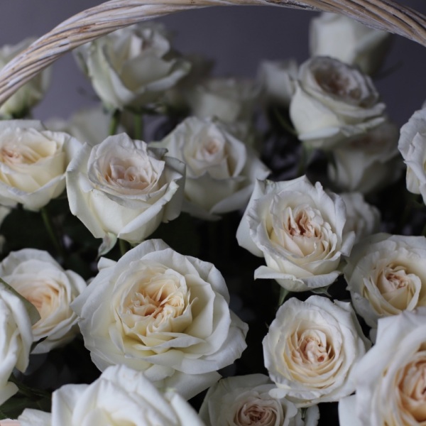 Garden roses of different sorts in a basket