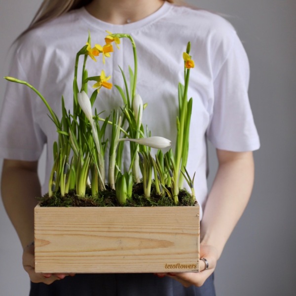 Весенние цветы в ящике - Размер M