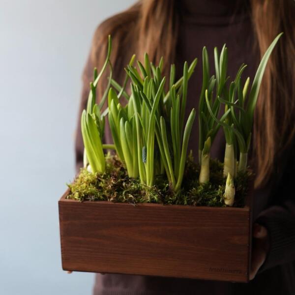 Spring flowers in a box - Размер M