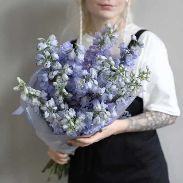 Lavender Delphinium - 19 дельфиниумов 