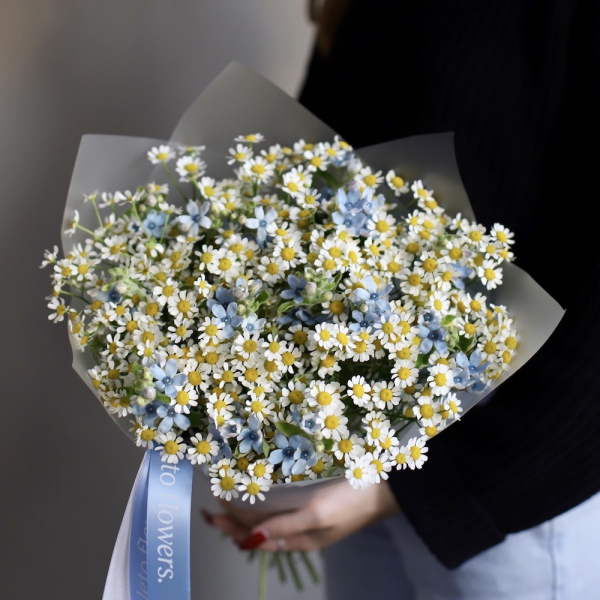 Chamomile with Oxypetalum - Размер S