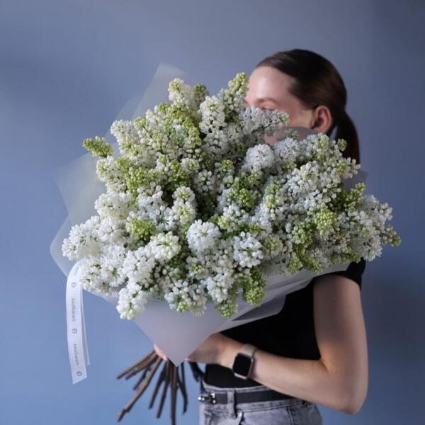 White Lilac - 19 веток сирени