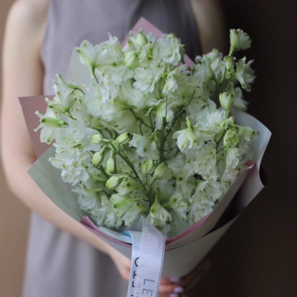 White Delphinium - 9 дельфиниумов 