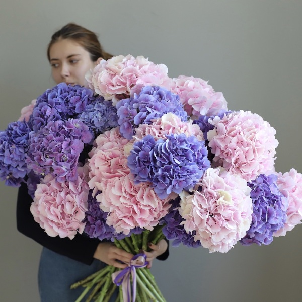 Mixed color Hydrangeas - 29 гортезий