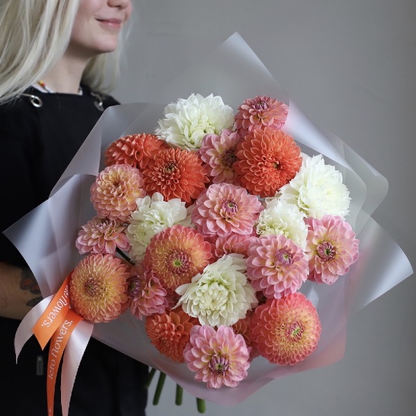 Mixed color Dahlias - 25 георгин 