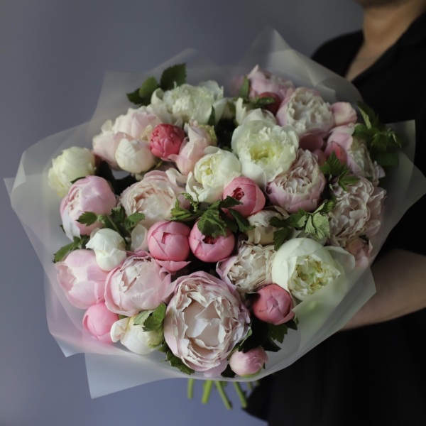 Mixed color Peony - 39 пионов