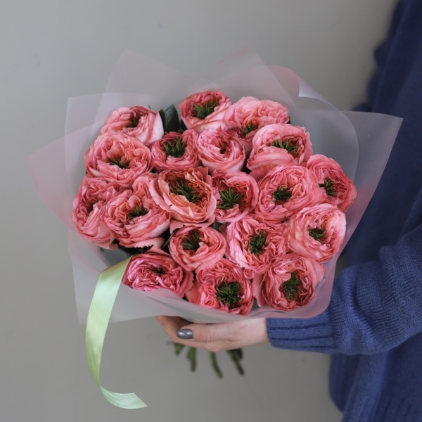 Pink Monster garden Roses - 19 роз