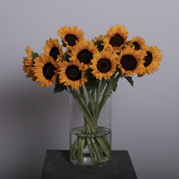 Sunflowers in a vase -  19 подсолнухов 