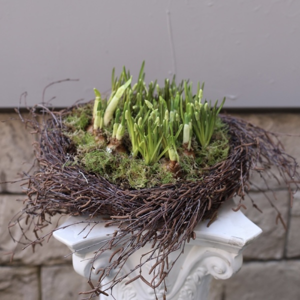 Easter Nest with Primroses