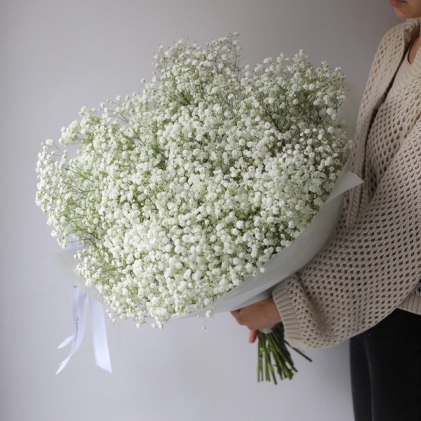 White Baby's Breath - 25 гипсофил