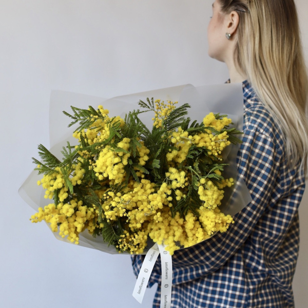 Mimosa - Размер M