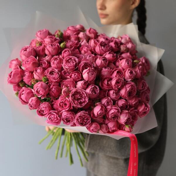 Misty Bubbles spray rose - 49 кустовых роз