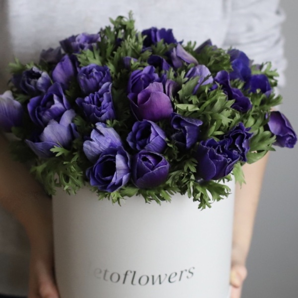 Anemones in a hatbox - Размер M 