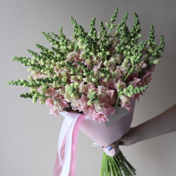 Pink Snapdragon - 39 львиных зевов