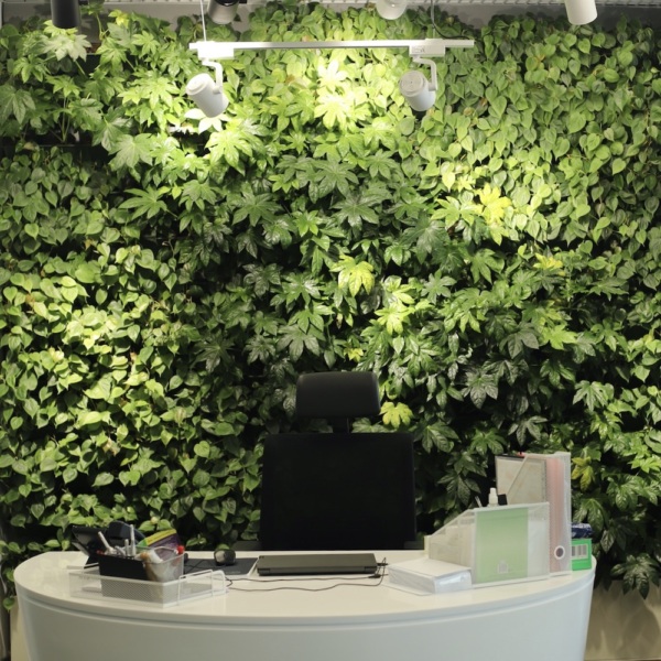 Vertical garden