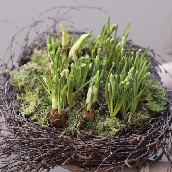 Easter Nest with Primroses
