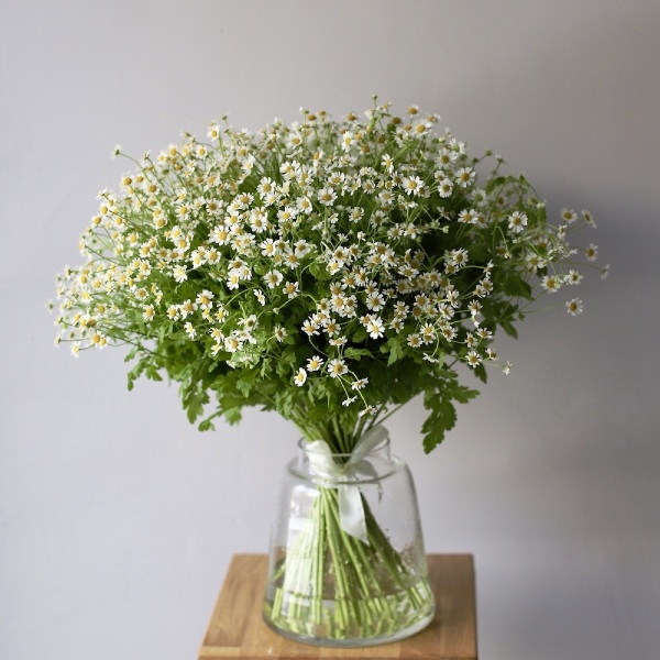 Flower subscribtion "Mono in a vase" (4 deliveries) - Размер L