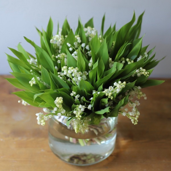 Lilies of the Valley in a vase -  75 ландышей 