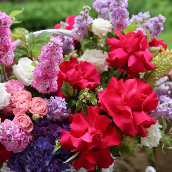 Signature basket-surprise, bright